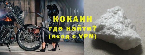 индика Беломорск