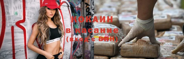 индика Беломорск