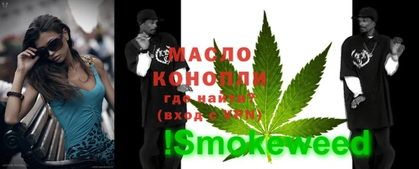 индика Беломорск