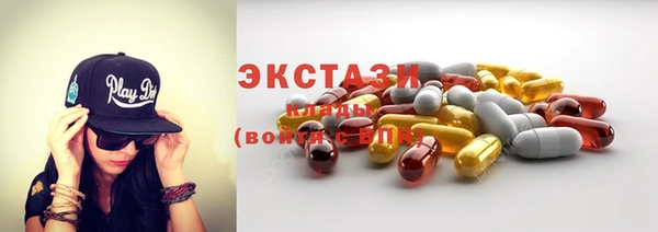 индика Беломорск