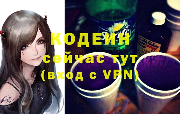 индика Беломорск