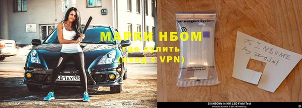 индика Беломорск